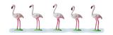 Preiser 20372 Flamingos