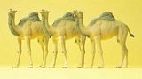 Preiser 20397 Dromedaries