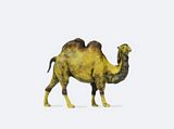 Preiser 29506 Camel