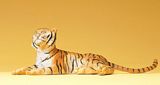 Preiser 47510 Lying Down Tiger