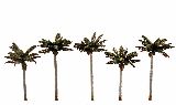 Woodland Scenics 3597 Small Palm Tree